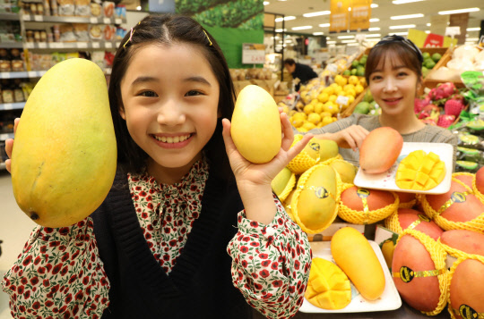 이마트 코끼리 망고 <이마트 제공>